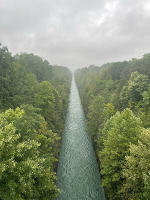 Beschreibung
