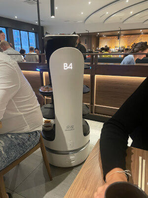 Beschreibung