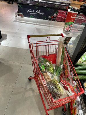 Beschreibung